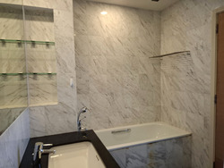 The Equatorial (D10), Condominium #510392811